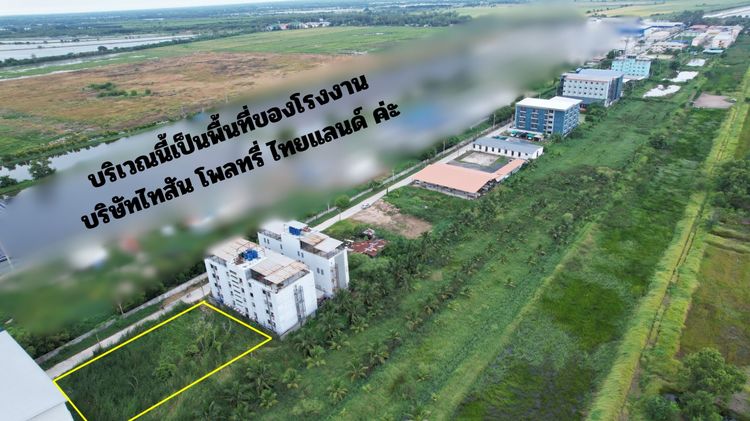 ขายที่ดิน 336 ตารางวา ข้างบริษัท ไทสัน จำกัด ติดถนนแหล่งชุมชน รูปที่ 3