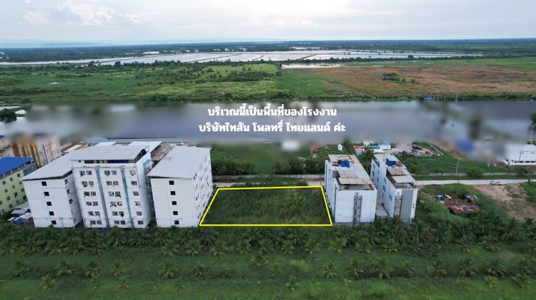 ขายที่ดิน 336 ตารางวา ข้างบริษัท ไทสัน จำกัด ติดถนนแหล่งชุมชน รูปที่ 4