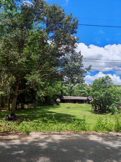 ที่ดินทำเลทอง อ.นาทวี จ.สงขลา รูปที่ 4