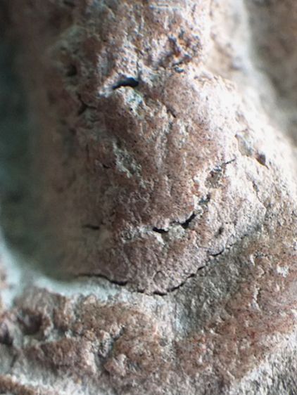 นาคปรก กรุนาดูน. รูปที่ 10