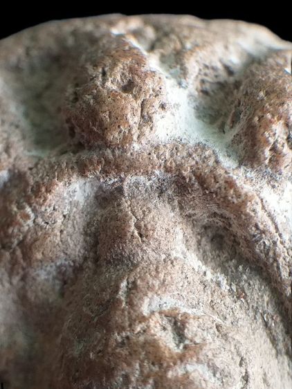 นาคปรก กรุนาดูน. รูปที่ 6