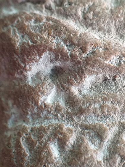 นาคปรก กรุนาดูน. รูปที่ 13