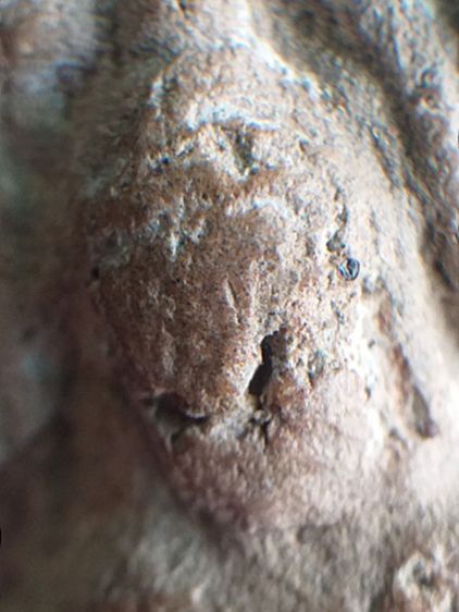 นาคปรก กรุนาดูน. รูปที่ 8