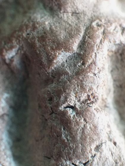 นาคปรก กรุนาดูน. รูปที่ 9