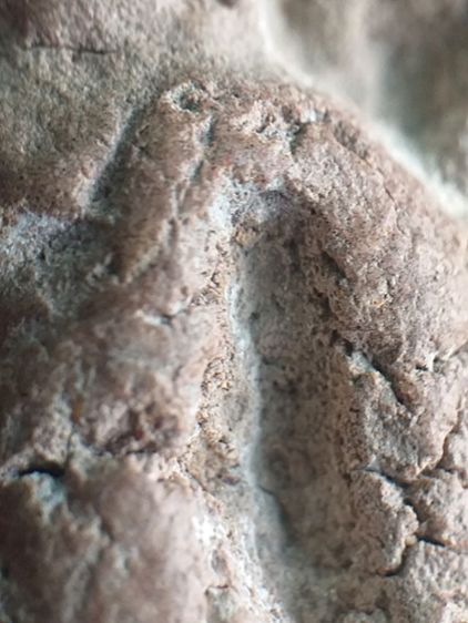 นาคปรก กรุนาดูน. รูปที่ 17