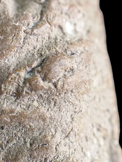 นาคปรก กรุนาดูน. รูปที่ 16