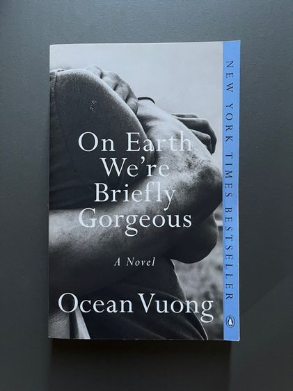 On earth we're briefly gorgeous