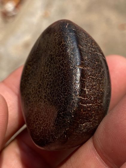 เครื่องราง รูปที่ 10