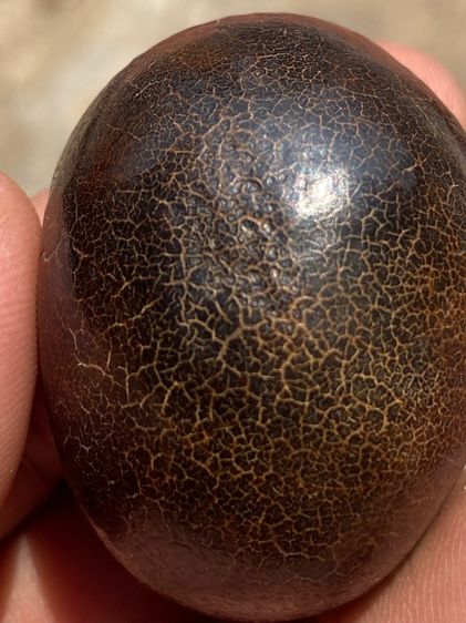 เครื่องราง รูปที่ 11