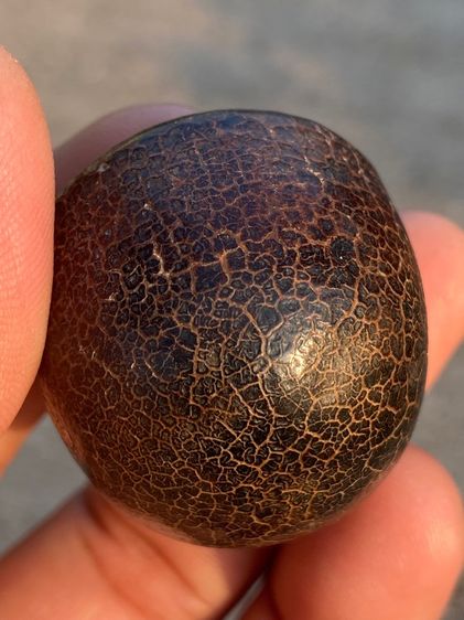 เครื่องราง รูปที่ 10