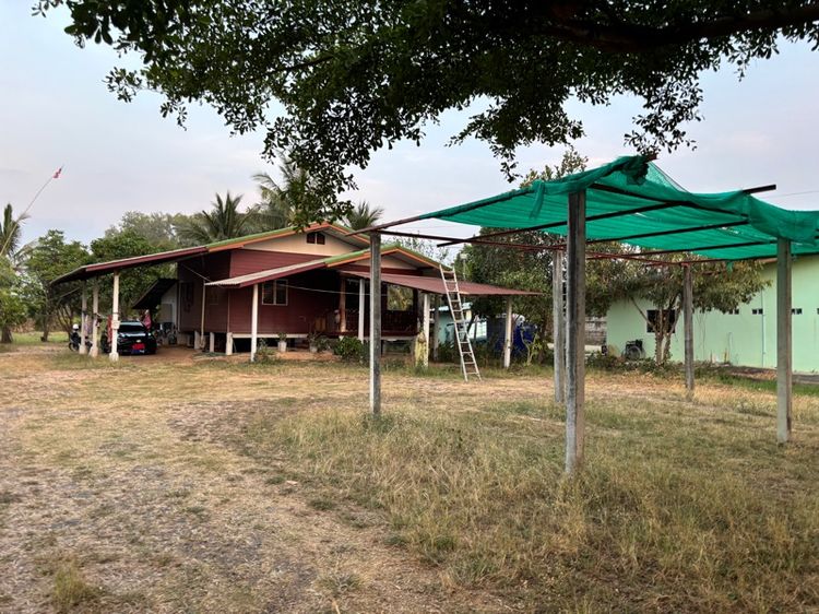 ขายบ้านพร้อมที่ดิน ถนนปัทมานนท์ สุรินทร์-จอมพระ รูปที่ 2