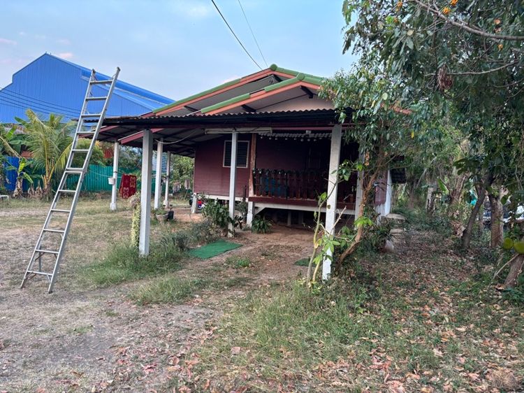 ขายบ้านพร้อมที่ดิน ถนนปัทมานนท์ สุรินทร์-จอมพระ รูปที่ 3