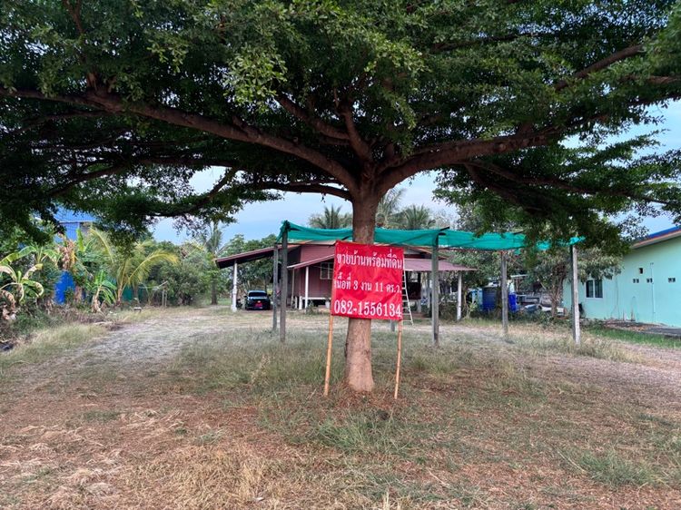 ขายบ้านพร้อมที่ดิน ถนนปัทมานนท์ สุรินทร์-จอมพระ รูปที่ 4