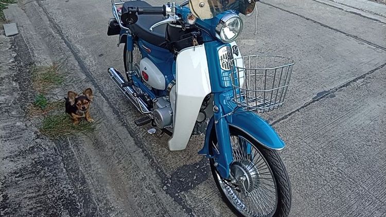 ขายริวก้า110f รูปที่ 3