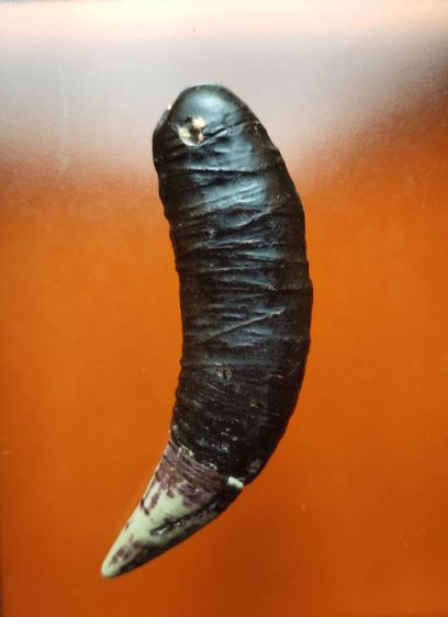 เครื่องรางของเก่า