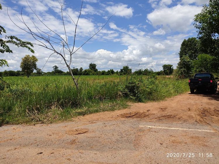 ขายที่ดินใกล้ตัวเมืองอรัญประเทศ จ.สระแก้ว 2ไร่ ติดอ่างเก็บน้ำคลองพรมโหด  รูปที่ 2
