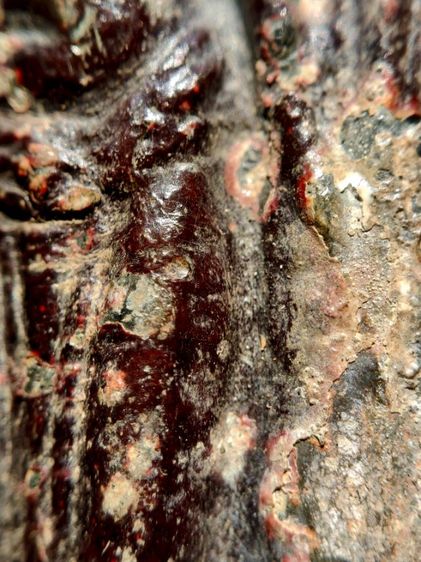 พระร่วงหลังรางปืน กรุวัดพระศรีรัตนมหาธาตุวรวิหาร วัดพระปรางค์ สุโขทัย ศรีสัชนาลัย รูปที่ 11