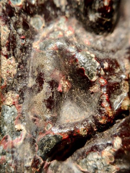 พระร่วงหลังรางปืน กรุวัดพระศรีรัตนมหาธาตุวรวิหาร วัดพระปรางค์ สุโขทัย ศรีสัชนาลัย รูปที่ 5