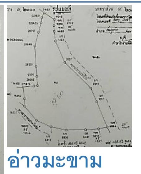 ใช่ ขายที่ดิน รูปที่ 4