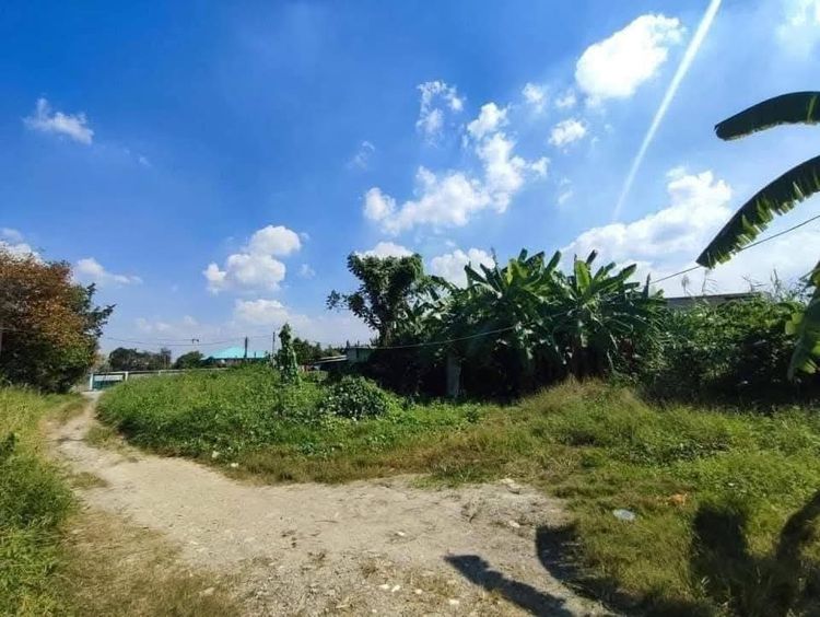 ขายด่วนที่ดิน 54 ตรว. รูปที่ 2