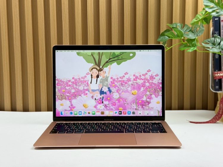 Apple แมค โอเอส 8 กิกะไบต์ อื่นๆ ไม่ใช่ MacBook Air 13-inch 2018 Ram8GB SSD256GB Gold