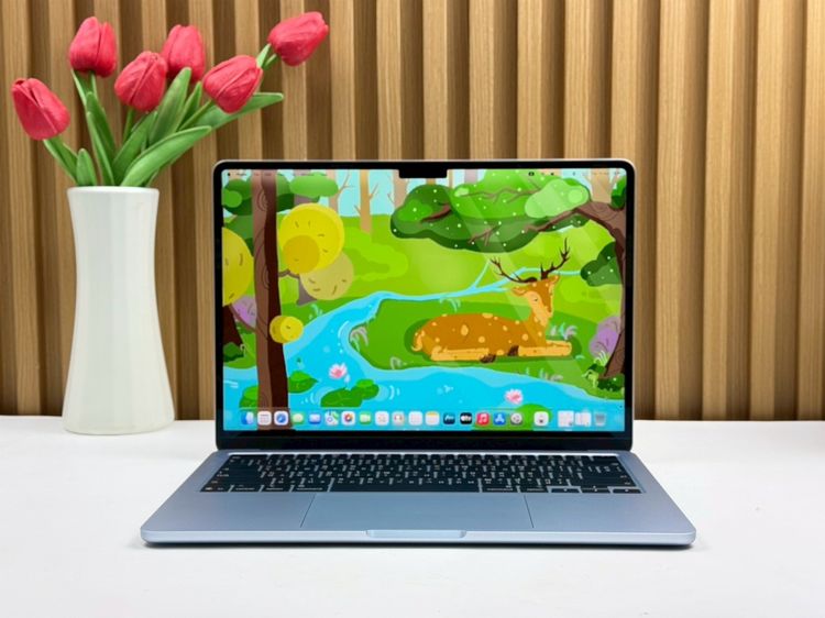 MacBook Air 13.6-inch M4 2025 Ram16GB SSD512GB SkyBlue apple care 23 June 2026 