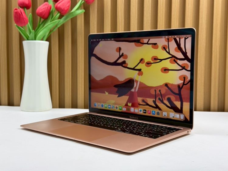 MacBook Air 13-inch 2018 Ram8GB SSD256GB Gold รูปที่ 2