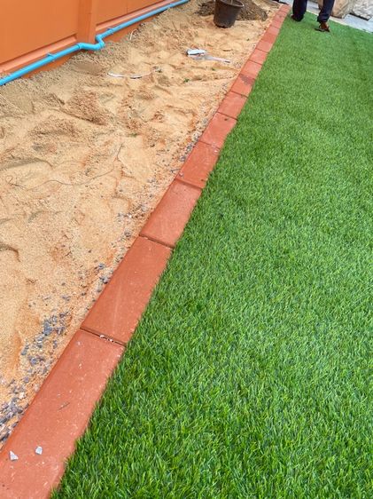 หญ้าเทียมพร้อ รูปที่ 2