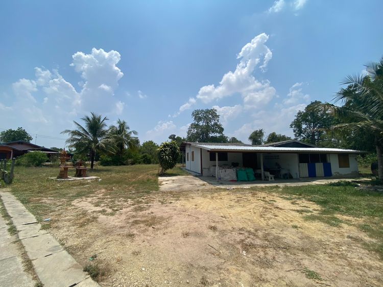 ขายที่ดินพร้อมบ้าน 1 หลัง  รูปที่ 3