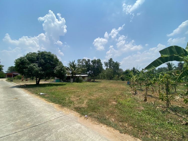 ขายที่ดินพร้อมบ้าน 1 หลัง  รูปที่ 4