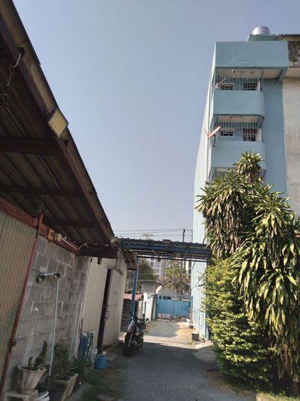 ใช่ ขายด่วน ตึกแถวพร้อมสวนหลังบ้าน ใกล้วัดลาดพร้าว รูปที่ 3