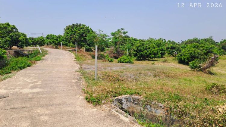 ไม่ใช่ แบ่งขายสวนลำไยแปลงเล็ก น้ำประปาพร้อมเหมาะทำบ้านสวน บ้านพักตากอากาศ