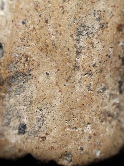 พระคงลำพูนครับ รูปที่ 13