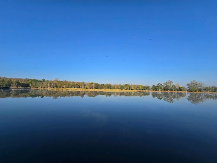 ที่ดินสวนสัก 10 ไร่ 3 งาน 35 ตารางวา(ขายราคาต่ำกว่าประเมิน) ติดริมบึงสวนสาธารณะ ใกล้ถนนพหลโยธิน