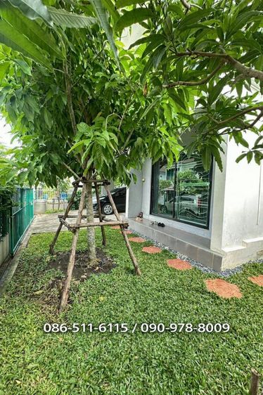 Pruksa ตกแต่งครบ 2013 ขายด่วน บ้านเดี่ยว พท.51.1 ตรว. (หมู่บ้านพฤกษาดีไลท์-อ่อนนุช มอเตอร์เวย์) รูปที่ 3