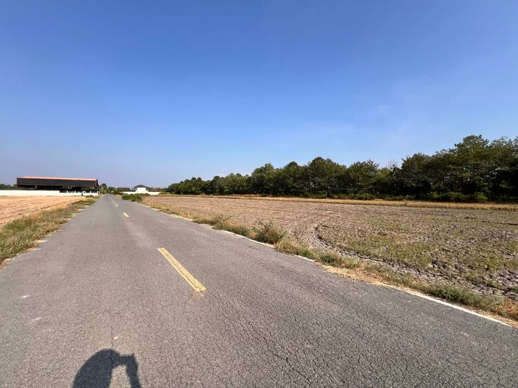 ขายด่วนที่ดินทำเลทอง คลองห้าตะวันตก 1 ไร่ 50 ตร.ว.  รูปที่ 2