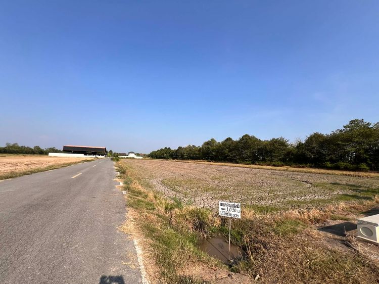 ขายด่วนที่ดินทำเลทอง คลองห้าตะวันตก 1 ไร่ 50 ตร.ว.  รูปที่ 4