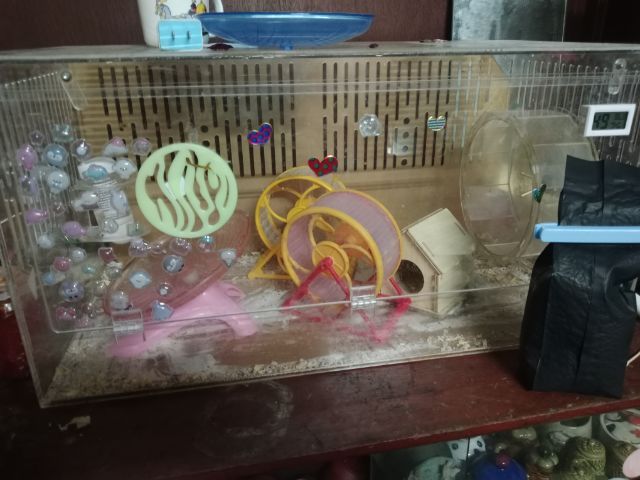 กรง คอกและประตู อะคริลิคเลี้ยงแฮมสเตอร์ 80เซน อุปกรณ์ครบชุด