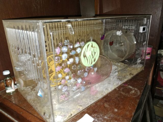 อะคริลิคเลี้ยงแฮมสเตอร์ 80เซน อุปกรณ์ครบชุด รูปที่ 6