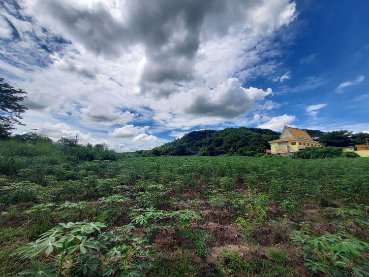 โอกาสลงทุนทำเล ที่ดิน 8 ไร่เศษ ติดถนน 3241 ตรงข้ามทางเข้านิคมฯ WHA Chonburi 2 รูปที่ 4