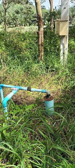 ใช่ ที่ดินสามร้อยยอด ประจวบคีรีขันธ์ รูปที่ 4