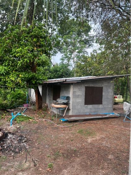 ไม่ใช่ บ้านสวนผสม รูปที่ 3