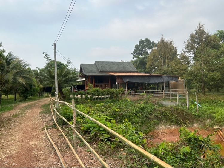 ไม่ใช่ บ้านสวนผสม รูปที่ 4