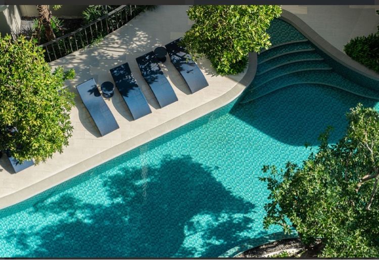 ตกแต่งครบ Sansiri 2024 ไม่อนุญาต ใช่ Condo. Reef เช่า. Rent รูปที่ 3