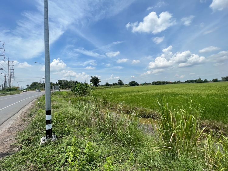 ขายที่ดินแปลงสวยติดถนน ต.หันคา อ.หันคา จ.ชัยนาท ใกล้เทศบาล และการไฟฟ้าส่วนภูมิภาคหันคาเพียง 850 เมตร