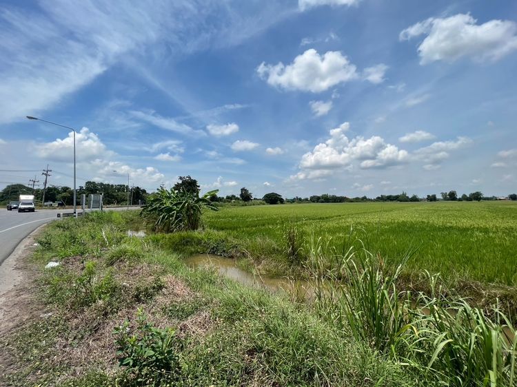 ขายที่ดินแปลงสวยติดถนน ต.หันคา อ.หันคา จ.ชัยนาท ใกล้เทศบาล และการไฟฟ้าส่วนภูมิภาคหันคาเพียง 850 เมตร รูปที่ 2