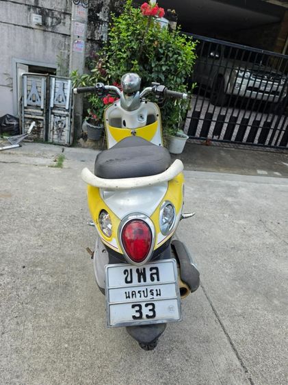 ฟีโน่ปี08