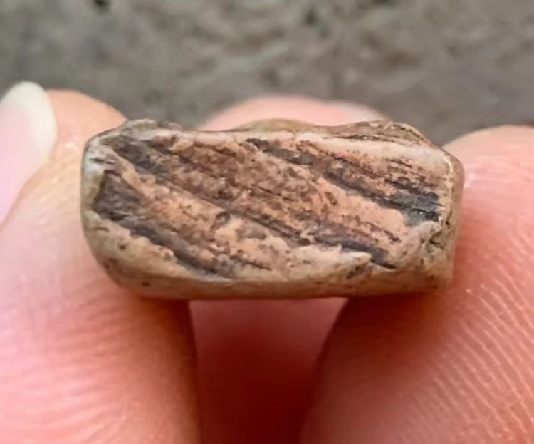 พระนางพญาพิมพ์สังฆาฎิ รูปที่ 3