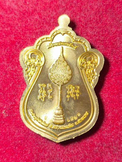 6276 เหรียญเสมารุ่นแรก หลวงปู่หนูเพชร ปัญญาวุโธ รุ่นเลื่อนสมณศักดิ์ ปี2565 300 บาท รูปที่ 2