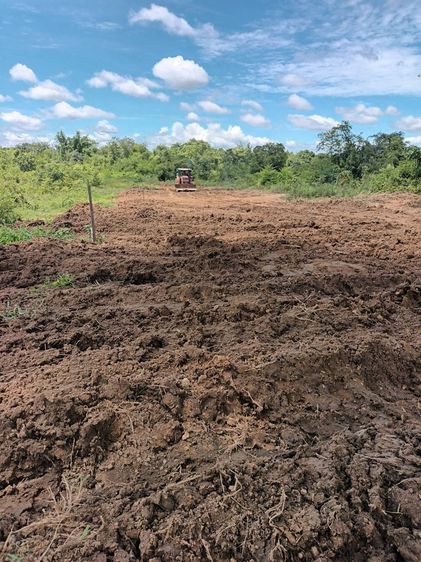 ขายที่ดินเป็นที่ว่างเปล่ามีไฟฟ้ามีน้ำประปาในชุมชนติดถนนลาดยางบ้านไร่พัตนาตำบลพิชัยอำเภอเมืองเนื้อที่1งานมี6แปลงติดกันราคาแปลงละ320000 ลำปางส